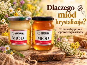 Read more about the article Dlaczego miód krystalizuje? Czy skrystalizowany miód jest dobry?